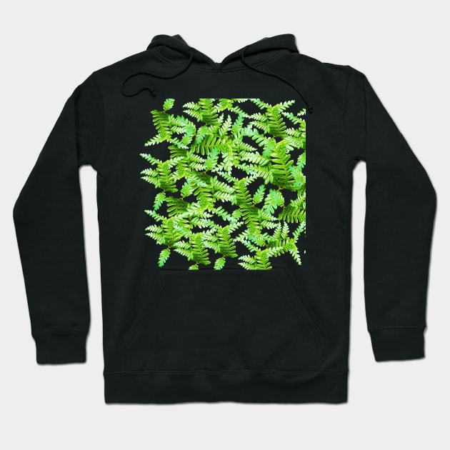 Fern Fronds en Masse Hoodie by VespersEmporium